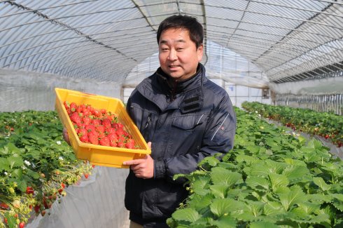 農業法人有限会社 大地