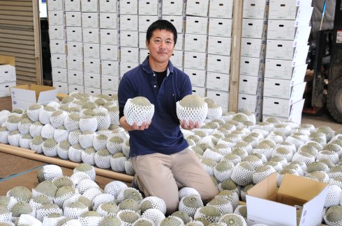 JA常総ひかり 園芸部メロン部会