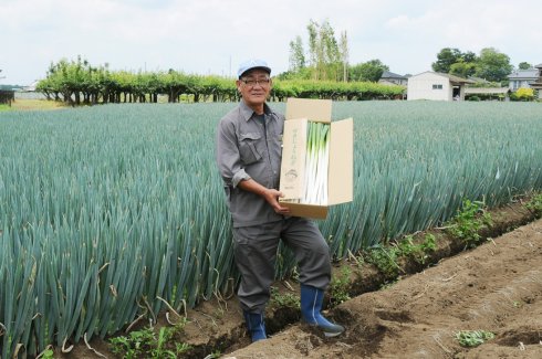 JA北つくば 関城ねぎ部会
