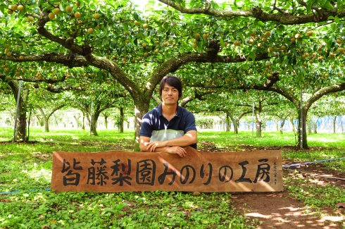 樹の健康を第一に考えた梨作り