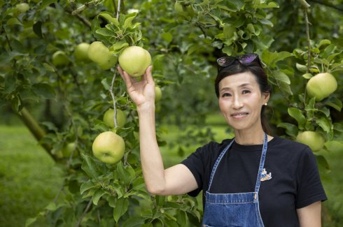 藤田観光りんご園