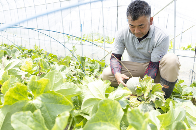ユウカメロンのハウス