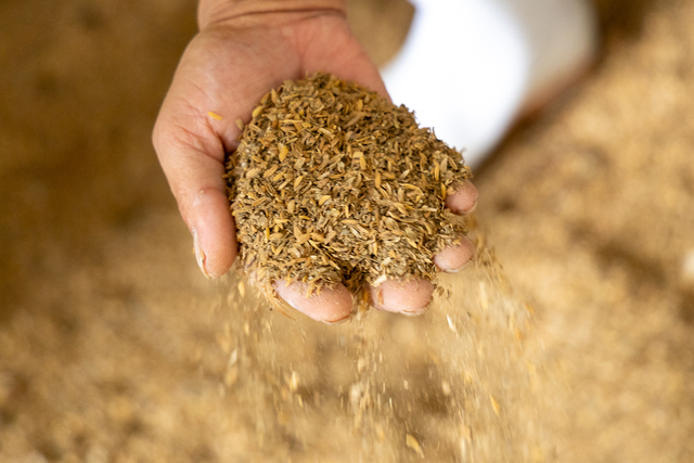 モミ殻と混ざり天然分解された鶏糞はサラサラしています