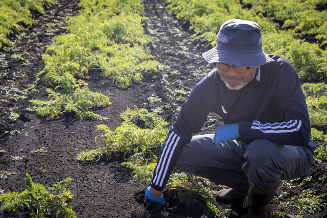常陸大宮圃場を取りまとめる宇田川さん