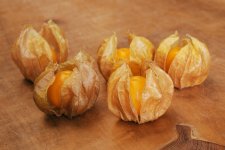 花貫フルーツほおずき(高萩市)