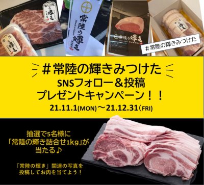 #常陸の輝きみつけた SNSフォロー&投稿プレゼントキャンペーン