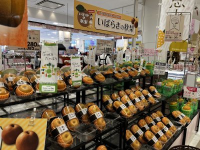 第9回スイーツフェスタinつくば