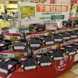 【8/12(木)～】イオン下妻店とイオン土浦店で下妻甘熟梨フェア開催