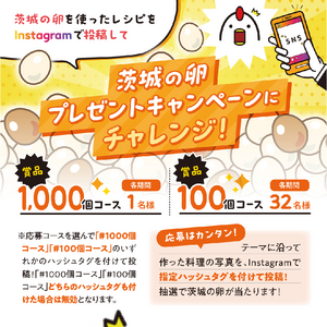 【9/1(月)～11/5(水) (いいたまごの日）】茨城の卵プレゼントキャンぺーン実施！