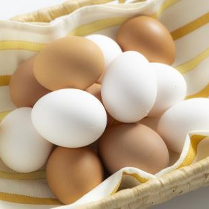 【9/6(土)水戸市＆9/7(日)つくば市】 「茨城の卵PRイベント」開催！