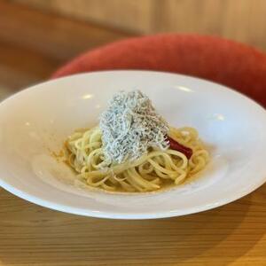 【11/30(日)まで】「産地直送！いばらき秋しらすフェア」開催中🐟✨